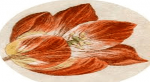 Flower Power