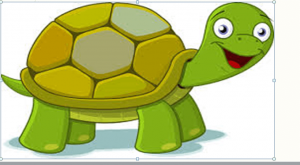 The Tortoise's curse