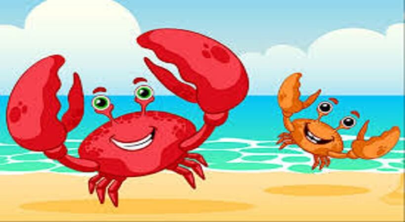 The young crab and his mother