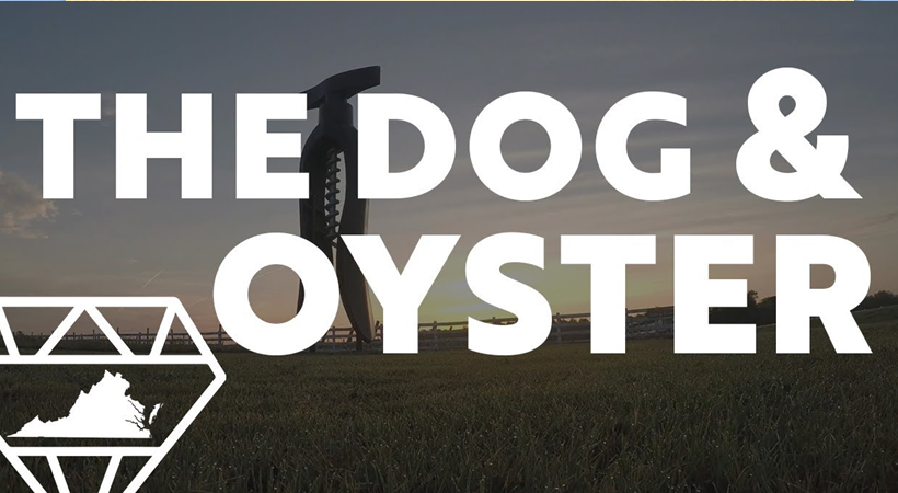 the dog and the oyster