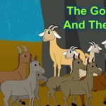 goatherd and the goats