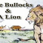 the lion and the bullock