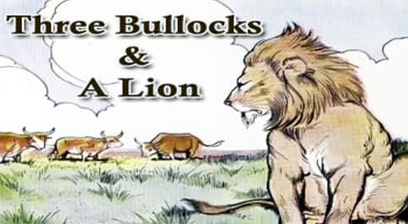 the lion and the bullock