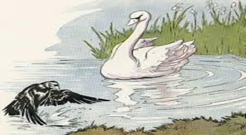 The raven and the swan