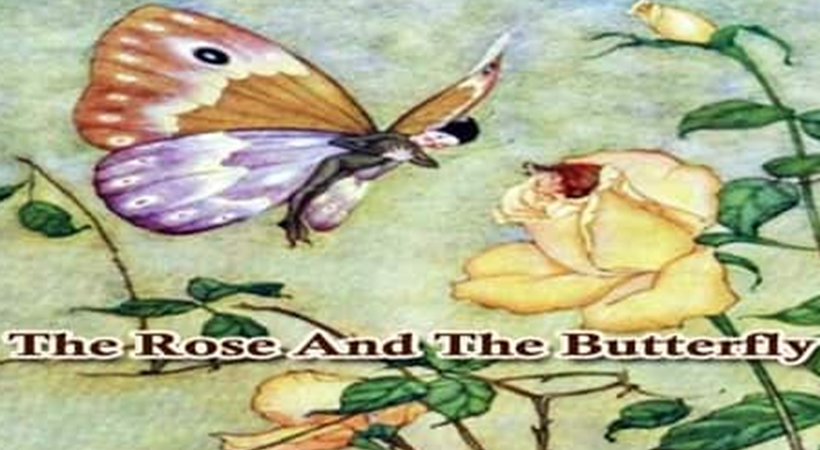 the rose and butterfly